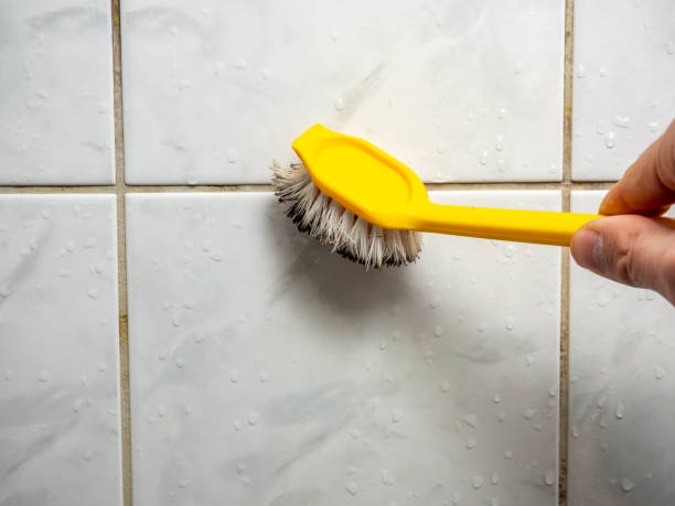 Best Mold Remediation Services  in Bayside, WI
