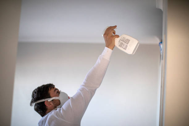 Best Mold Cleaning Services  in Bayside, WI
