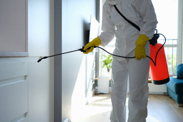 Best Office Mold Removal Services  in Bayside, WI